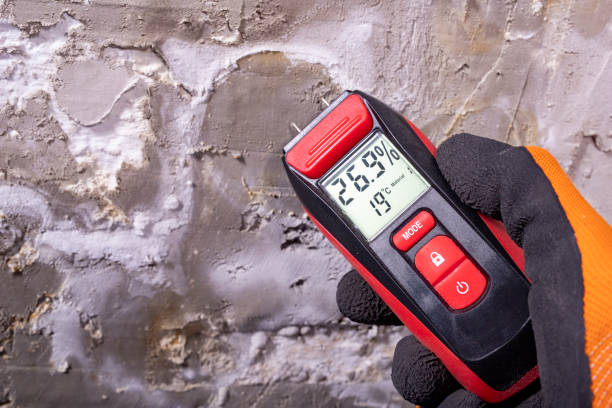 Best Commercial Mold Removal  in Matamoras, OH