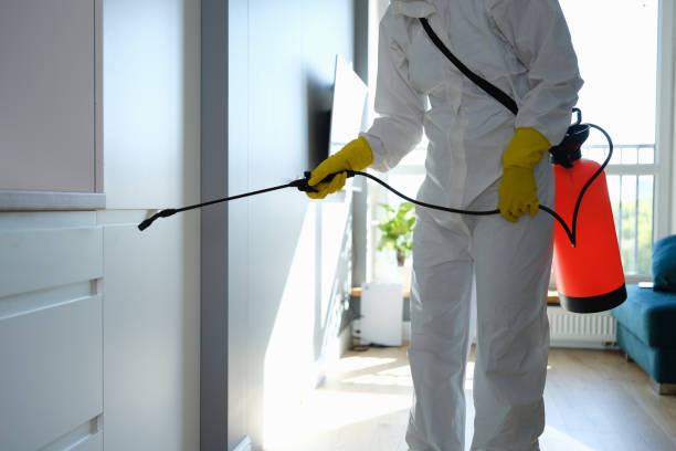 Best Attic Mold Removal  in Matamoras, OH