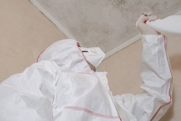 Best Mold Damage Repair  in Matamoras, OH