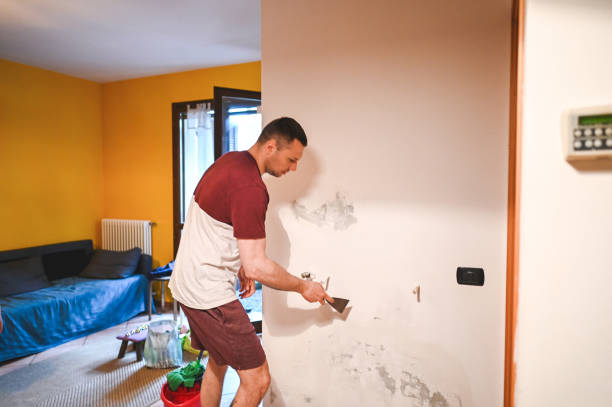 Best Black Mold Removal  in Matamoras, OH